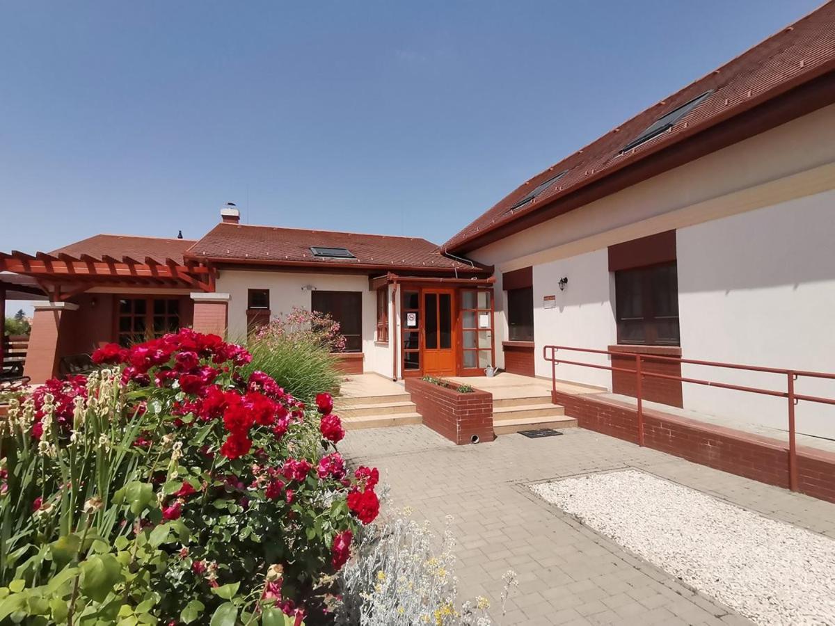 Kamilla Panzio Es Rendezvenyhaz Bed & Breakfast Balmazújváros Екстериор снимка